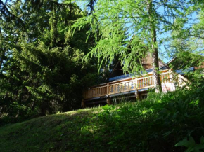 Chalet La Foux d Allos centre Station